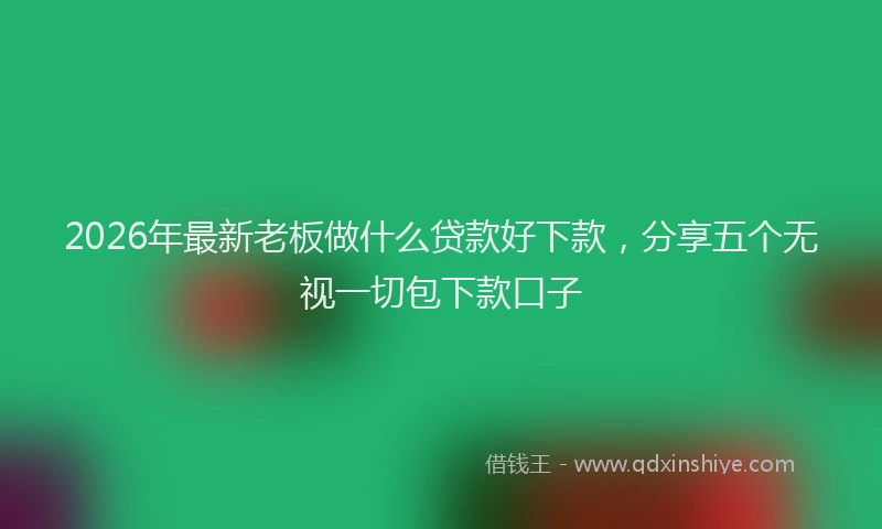 2026年最新老板做什么贷款好下款，分享五个无视一切包下款口子