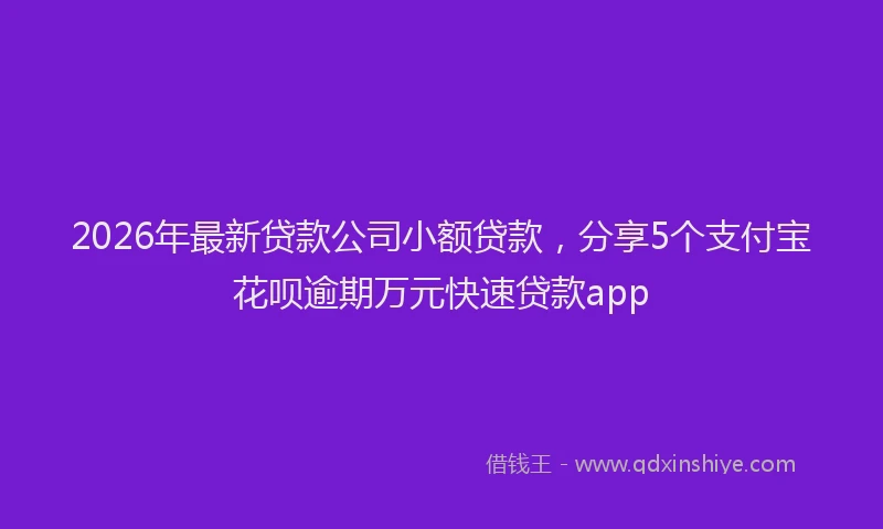 2026年最新贷款公司小额贷款，分享5个支付宝花呗逾期万元快速贷款app
