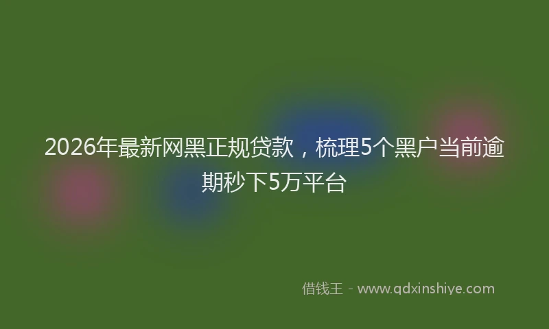 2026年最新网黑正规贷款，梳理5个黑户当前逾期秒下5万平台