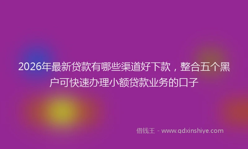 2026年最新贷款有哪些渠道好下款，整合五个黑户可快速办理小额贷款业务的口子