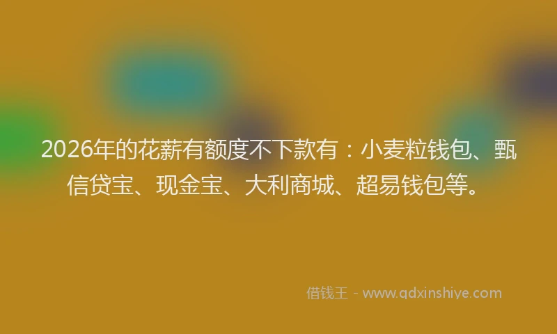 2026年的花薪有额度不下款有：小麦粒钱包、甄信贷宝、现金宝、大利商城、超易钱包等。