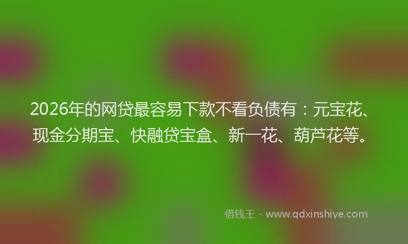 2026年的网贷最容易下款不看负债有：元宝花、现金分期宝、快融贷宝盒、新一花、葫芦花等。