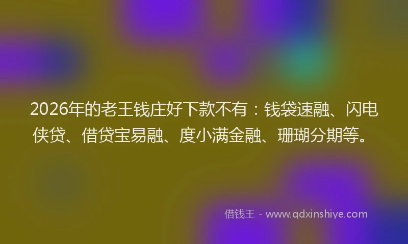 2026年的老王钱庄好下款不有：钱袋速融、闪电侠贷、借贷宝易融、度小满金融、珊瑚分期等。