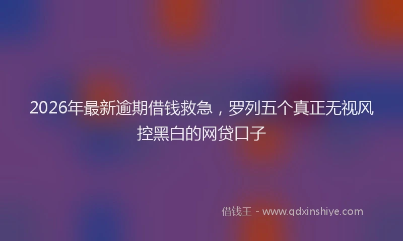 2026年最新逾期借钱救急，罗列五个真正无视风控黑白的网贷口子