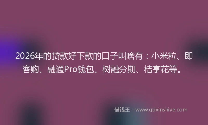 2026年的贷款好下款的口子叫啥有：小米粒、即客购、融通Pro钱包、树融分期、桔享花等。