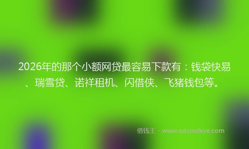 2026年的那个小额网贷最容易下款有：钱袋快易、瑞雪贷、诺祥租机、闪借侠、飞猪钱包等。