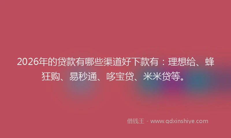 2026年的贷款有哪些渠道好下款有：理想给、蜂狂购、易秒通、哆宝贷、米米贷等。