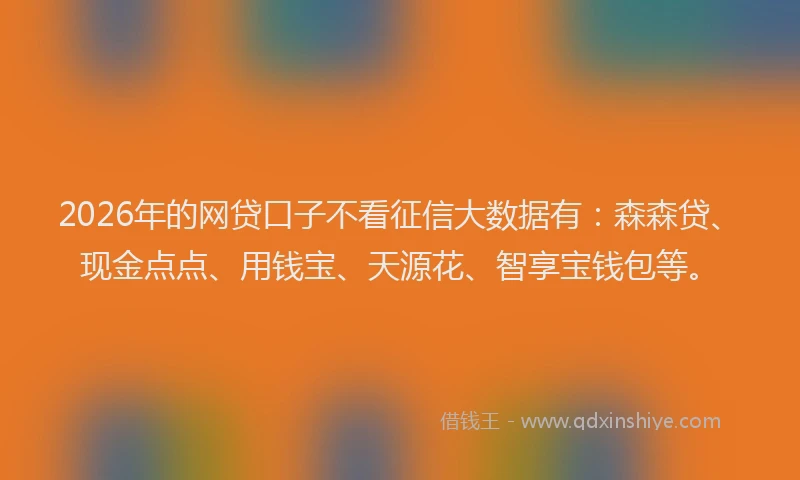 2026年的网贷口子不看征信大数据有：森森贷、现金点点、用钱宝、天源花、智享宝钱包等。