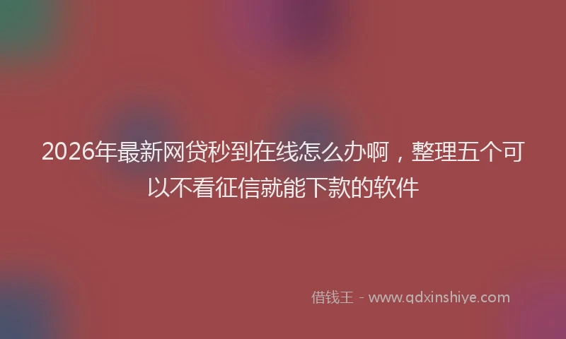 2026年最新网贷秒到在线怎么办啊，整理五个可以不看征信就能下款的软件