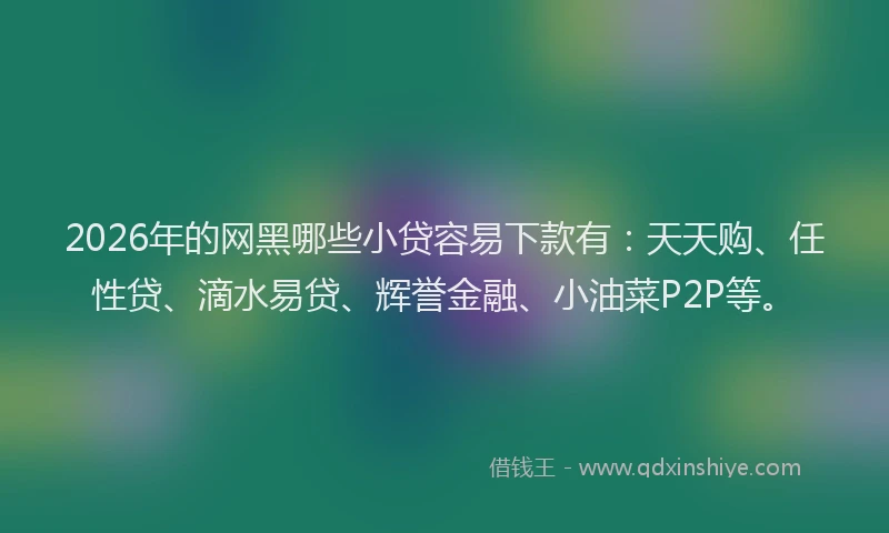 2026年的网黑哪些小贷容易下款有：天天购、任性贷、滴水易贷、辉誉金融、小油菜P2P等。