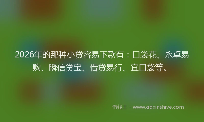 2026年的那种小贷容易下款有：口袋花、永卓易购、瞬信贷宝、借贷易行、宜口袋等。