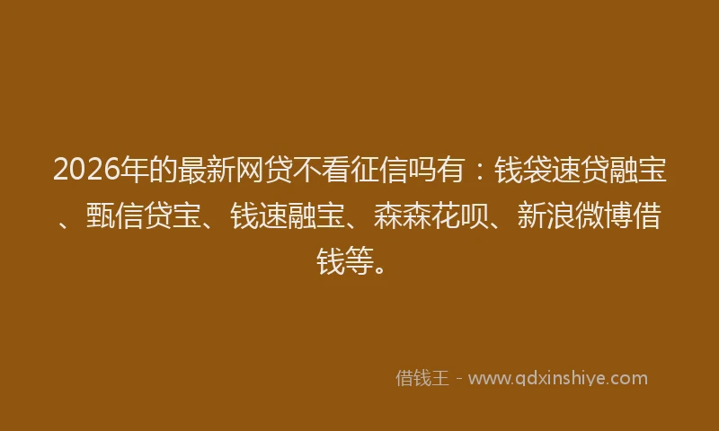 2026年的最新网贷不看征信吗有：钱袋速贷融宝、甄信贷宝、钱速融宝、森森花呗、新浪微博借钱等。