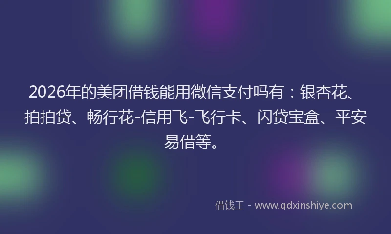 2026年的美团借钱能用微信支付吗有：银杏花、拍拍贷、畅行花-信用飞-飞行卡、闪贷宝盒、平安易借等。