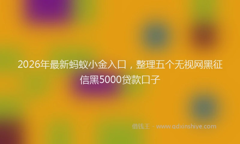 2026年最新蚂蚁小金入口，整理五个无视网黑征信黑5000贷款口子