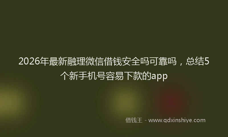 2026年最新融理微信借钱安全吗可靠吗，总结5个新手机号容易下款的app