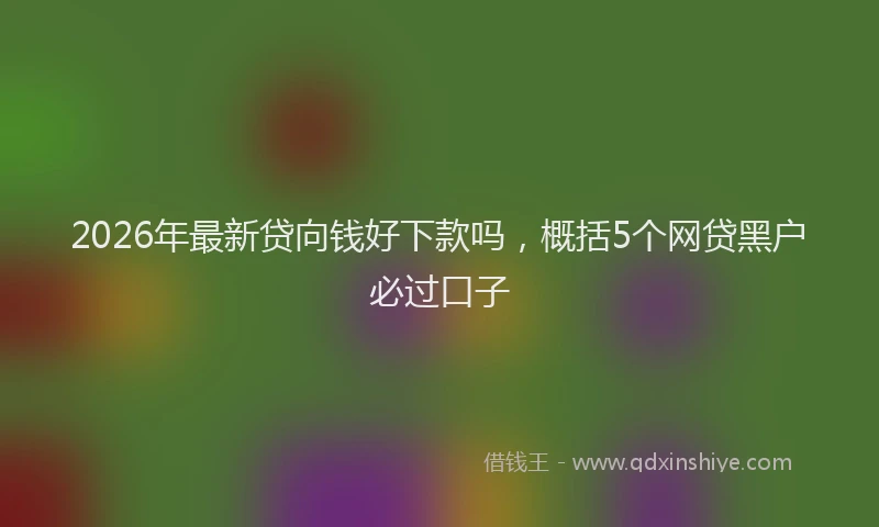 2026年最新贷向钱好下款吗，概括5个网贷黑户必过口子