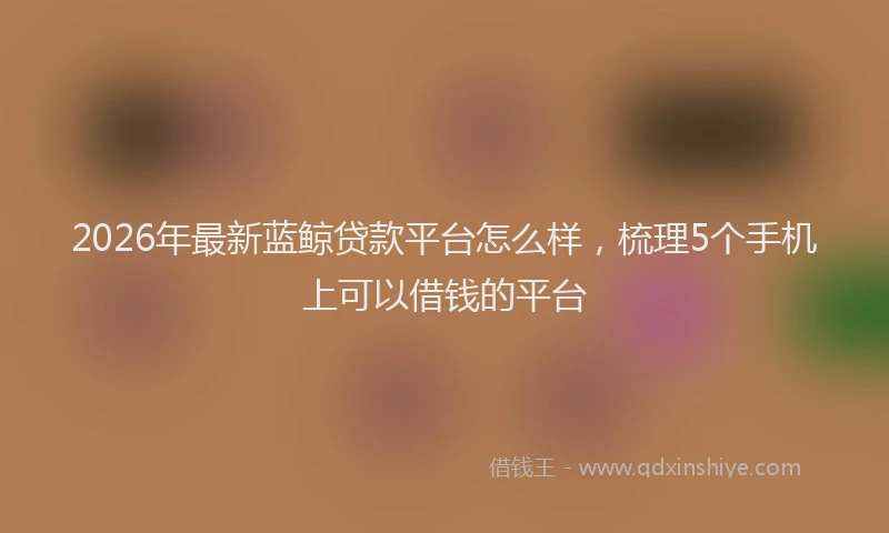 2026年最新蓝鲸贷款平台怎么样，梳理5个手机上可以借钱的平台