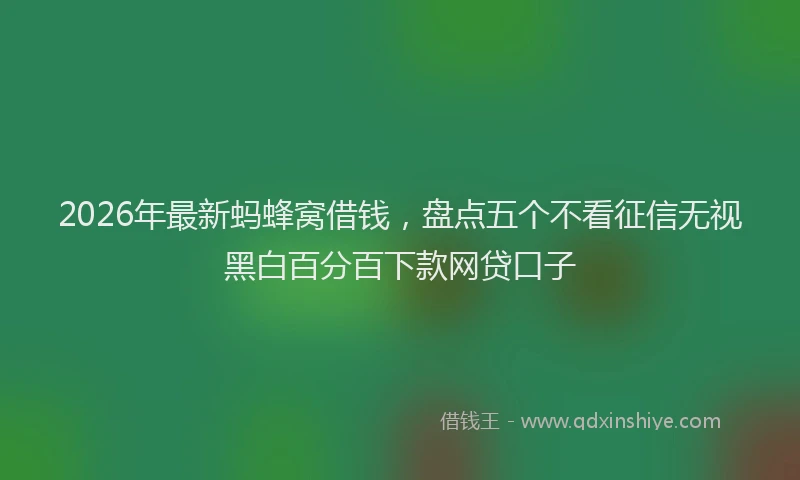 2026年最新蚂蜂窝借钱，盘点五个不看征信无视黑白百分百下款网贷口子