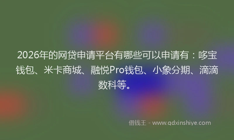 2026年的网贷申请平台有哪些可以申请有：哆宝钱包、米卡商城、融悦Pro钱包、小象分期、滴滴数科等。