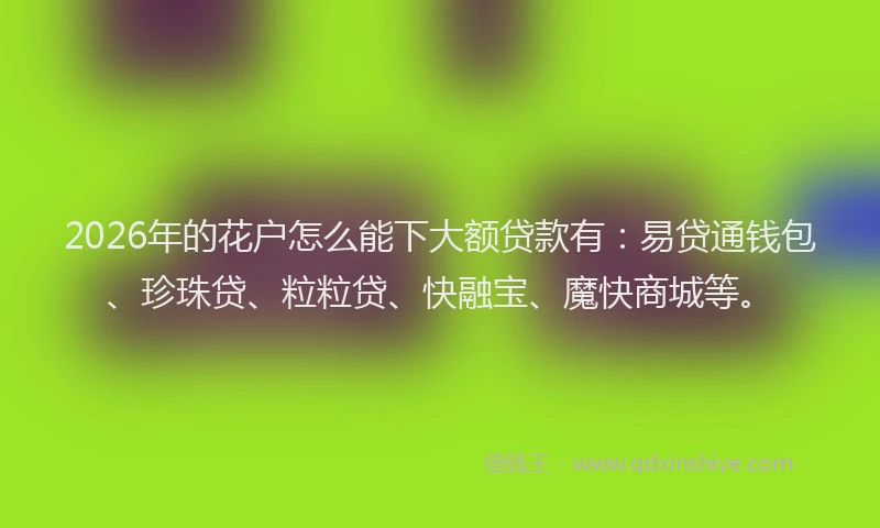 2026年的花户怎么能下大额贷款有：易贷通钱包、珍珠贷、粒粒贷、快融宝、魔快商城等。