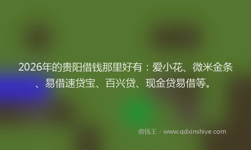 2026年的贵阳借钱那里好有：爱小花、微米金条、易借速贷宝、百兴贷、现金贷易借等。