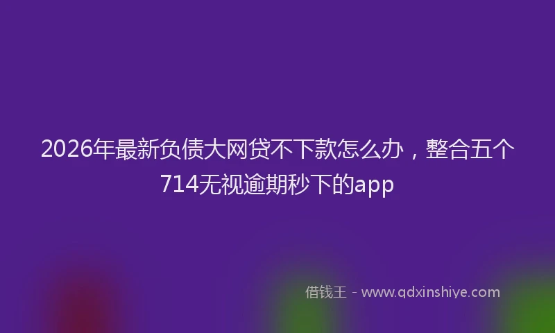 2026年最新负债大网贷不下款怎么办，整合五个714无视逾期秒下的app