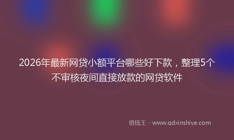 2026年最新网贷小额平台哪些好下款，整理5个不审核夜间直接放款的网贷软件