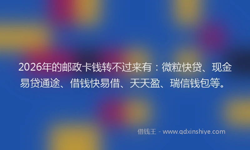 2026年的邮政卡钱转不过来有：微粒快贷、现金易贷通途、借钱快易借、天天盈、瑞信钱包等。