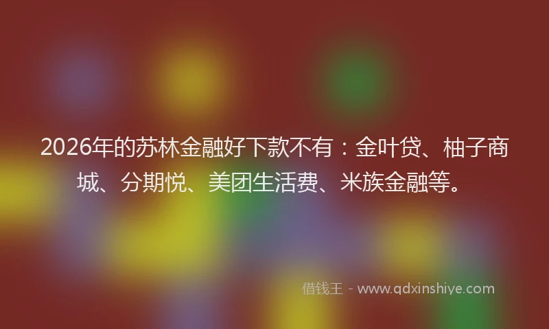 2026年的苏林金融好下款不有：金叶贷、柚子商城、分期悦、美团生活费、米族金融等。