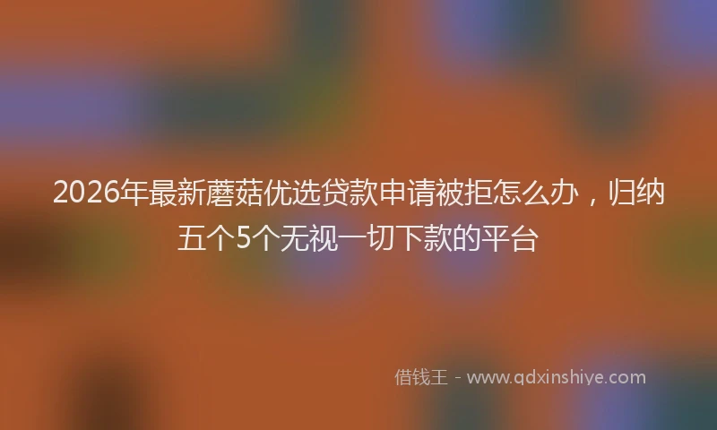 2026年最新蘑菇优选贷款申请被拒怎么办，归纳五个5个无视一切下款的平台