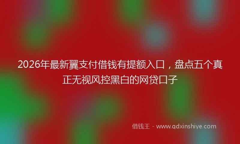 2026年最新翼支付借钱有提额入口，盘点五个真正无视风控黑白的网贷口子