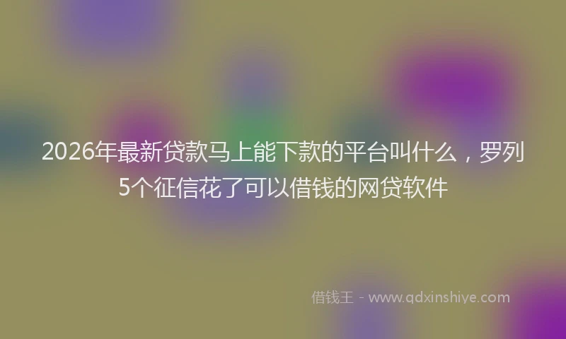 2026年最新贷款马上能下款的平台叫什么，罗列5个征信花了可以借钱的网贷软件