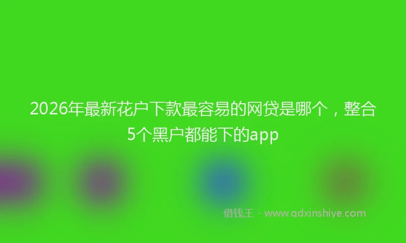 2026年最新花户下款最容易的网贷是哪个，整合5个黑户都能下的app