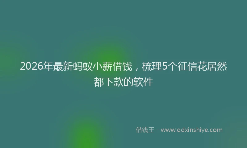 2026年最新蚂蚁小薪借钱，梳理5个征信花居然都下款的软件