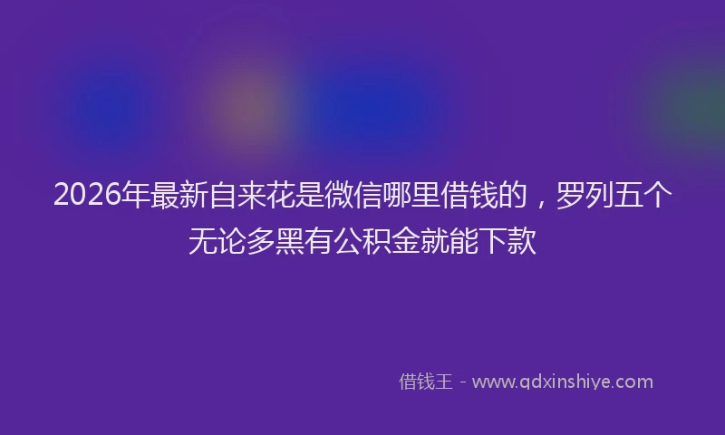2026年最新自来花是微信哪里借钱的，罗列五个无论多黑有公积金就能下款