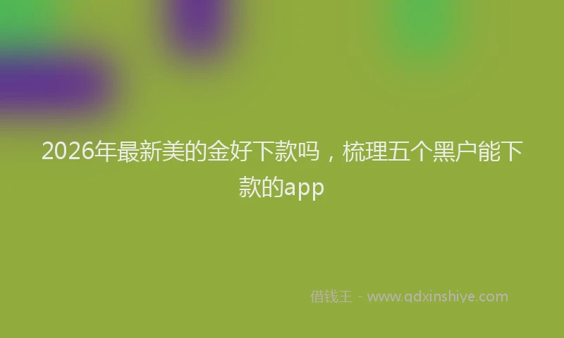 2026年最新美的金好下款吗，梳理五个黑户能下款的app