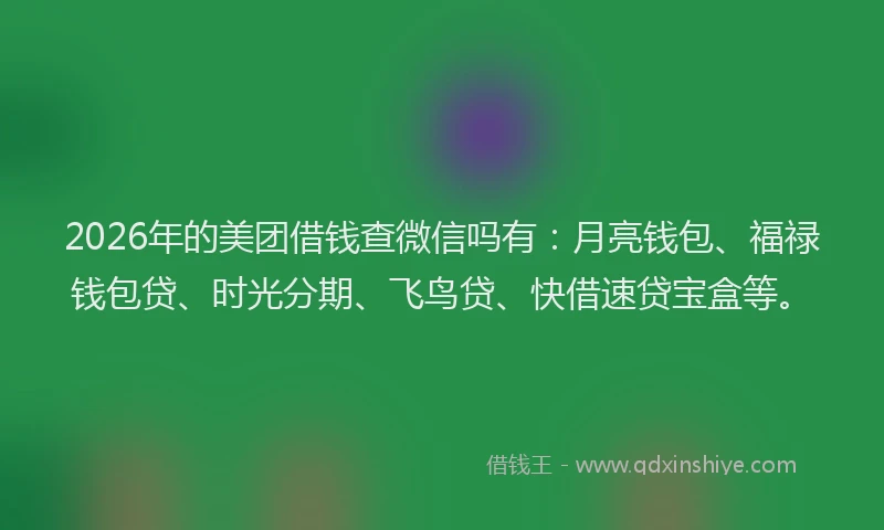2026年的美团借钱查微信吗有：月亮钱包、福禄钱包贷、时光分期、飞鸟贷、快借速贷宝盒等。