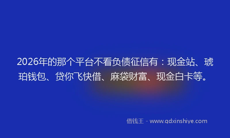 2026年的那个平台不看负债征信有：现金站、琥珀钱包、贷你飞快借、麻袋财富、现金白卡等。