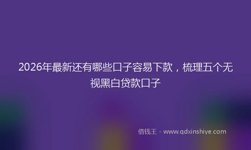 2026年最新还有哪些口子容易下款，梳理五个无视黑白贷款口子