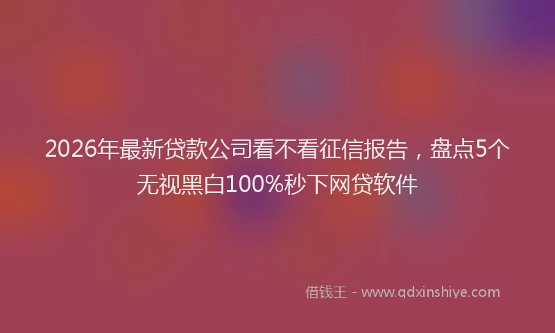 2026年最新贷款公司看不看征信报告，盘点5个无视黑白100%秒下网贷软件