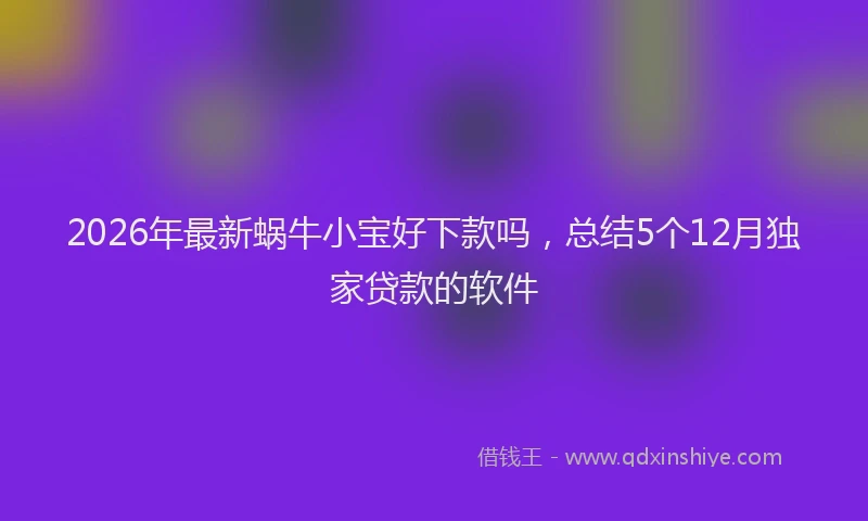 2026年最新蜗牛小宝好下款吗，总结5个12月独家贷款的软件