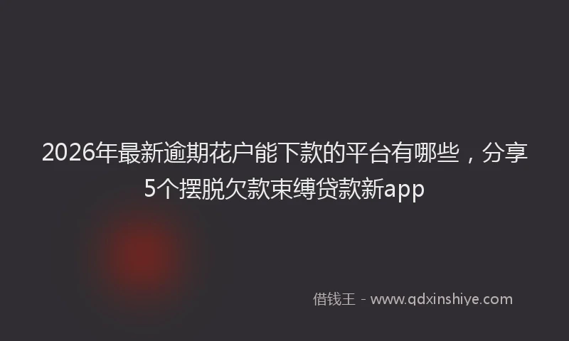 2026年最新逾期花户能下款的平台有哪些，分享5个摆脱欠款束缚贷款新app