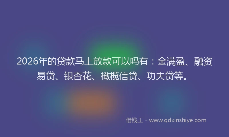 2026年的贷款马上放款可以吗有：金满盈、融资易贷、银杏花、橄榄信贷、功夫贷等。