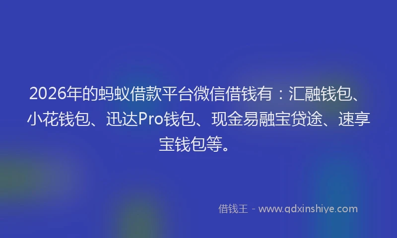 2026年的蚂蚁借款平台微信借钱有：汇融钱包、小花钱包、迅达Pro钱包、现金易融宝贷途、速享宝钱包等。