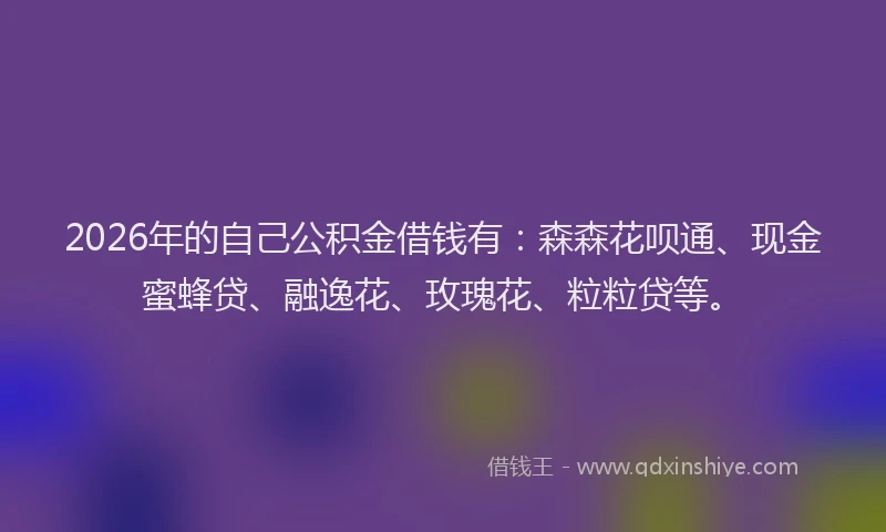 2026年的自己公积金借钱有：森森花呗通、现金蜜蜂贷、融逸花、玫瑰花、粒粒贷等。