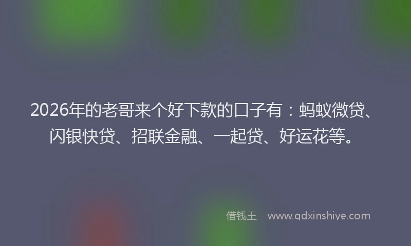 2026年的老哥来个好下款的口子有：蚂蚁微贷、闪银快贷、招联金融、一起贷、好运花等。