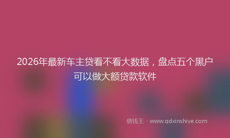 2026年最新车主贷看不看大数据，盘点五个黑户可以做大额贷款软件