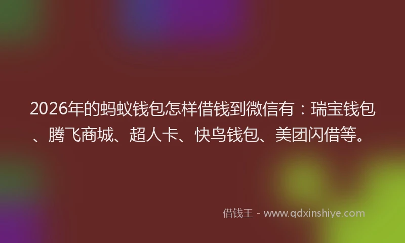 2026年的蚂蚁钱包怎样借钱到微信有：瑞宝钱包、腾飞商城、超人卡、快鸟钱包、美团闪借等。