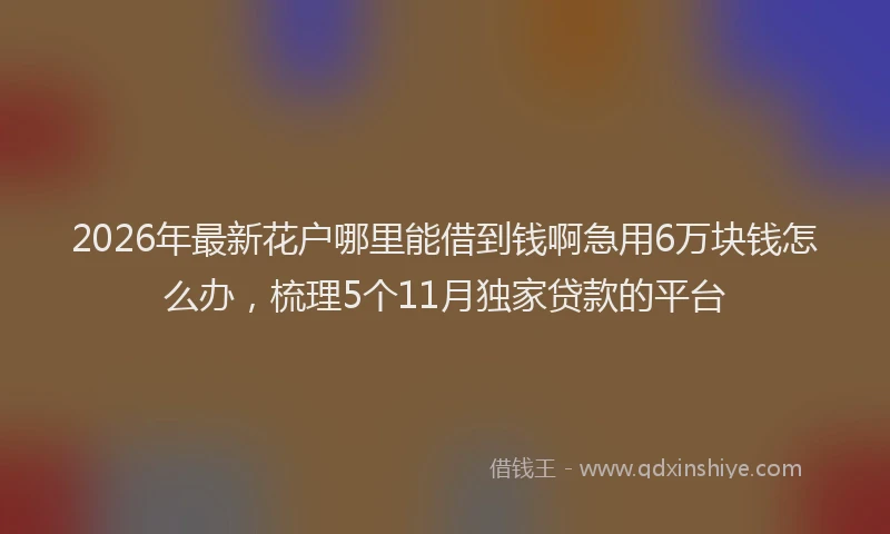2026年最新花户哪里能借到钱啊急用6万块钱怎么办，梳理5个11月独家贷款的平台