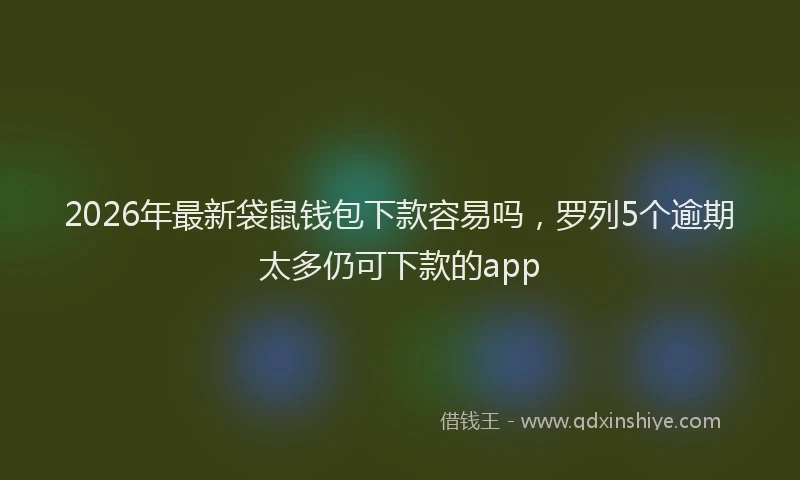 2026年最新袋鼠钱包下款容易吗，罗列5个逾期太多仍可下款的app